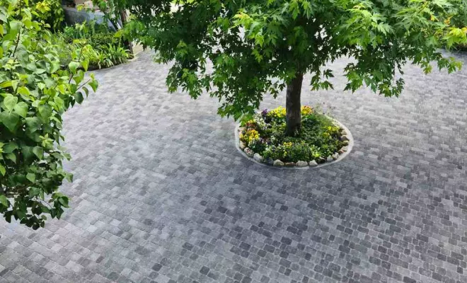 Cours, Chambéry, ANTHONY FONTAINE PAYSAGISTE